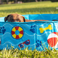 BigMouth Inc Home & Party | Patterns and Splashes Pet Pool