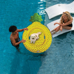 BigMouth Inc Pool|Home & Party | BigMouth Pets Pineapple Pool Float