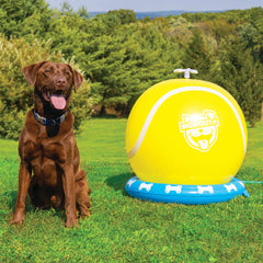 BigMouth Inc Home & Party | BigMouth Pets Tennis Ball Sprinkler