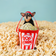 BigMouth Inc Home & Party | BigMouth Poppin' Pet Caddy