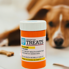 BigMouth Inc Home & Party | BigMouth Pets "Prescription" Treat Jar