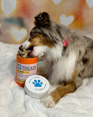 BigMouth Inc Home & Party | BigMouth Pets "Prescription" Treat Jar