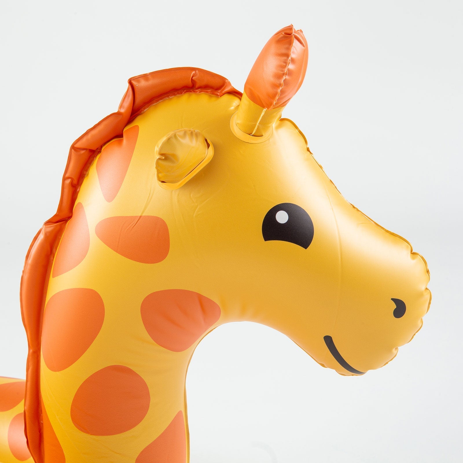 BigMouth Inc Pool | Giraffe Lil' Float