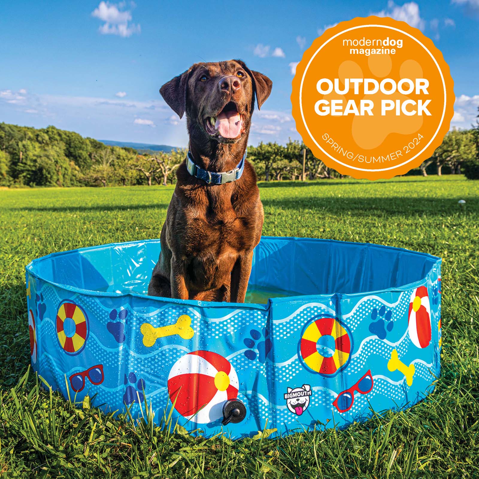 BigMouth Inc Home & Party | Patterns and Splashes Pet Pool