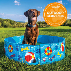 BigMouth Inc Home & Party | Patterns and Splashes Pet Pool