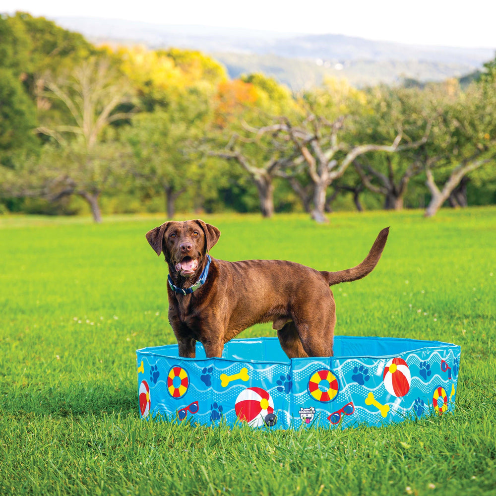 BigMouth Inc Home & Party | Patterns and Splashes Pet Pool