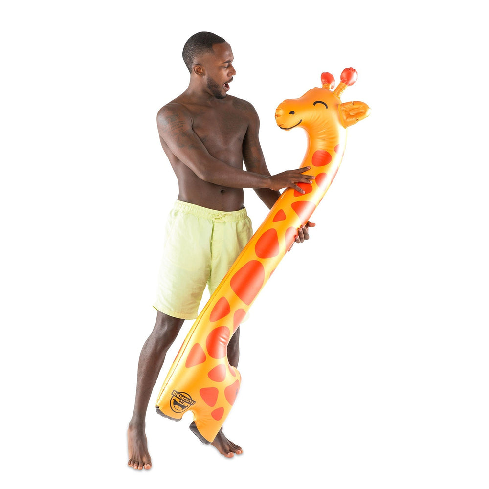 BigMouth Inc Pool | Giraffe Noodle