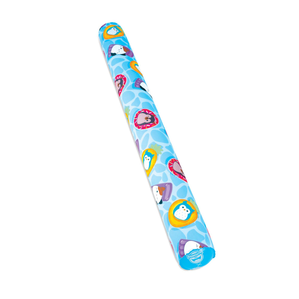 BigMouth Inc Pool|Collabs | BigMouth x Squishmallows Pool Noodle (collection)