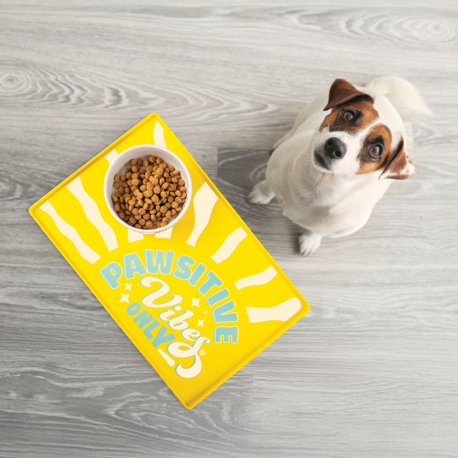 BigMouth Inc Beach | Pawsitive Vibes Pet Placemat