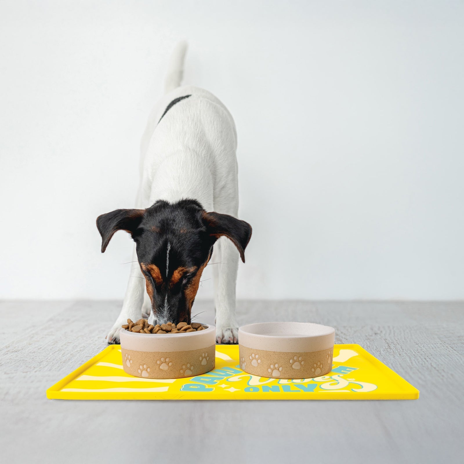 BigMouth Inc Beach | Pawsitive Vibes Pet Placemat