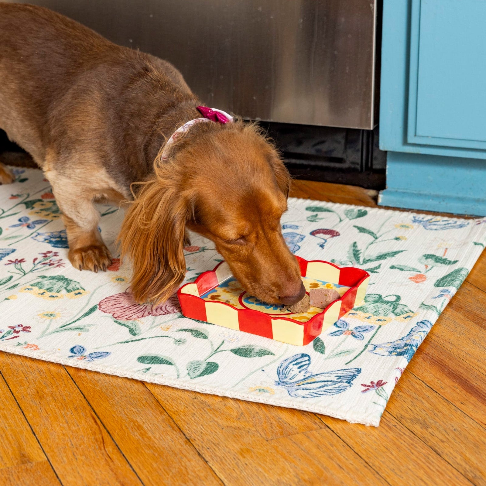 BigMouth Inc Beach | Paw-Corn Pet Plate