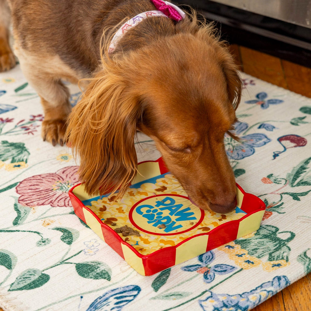 BigMouth Inc Beach | Paw-Corn Pet Plate