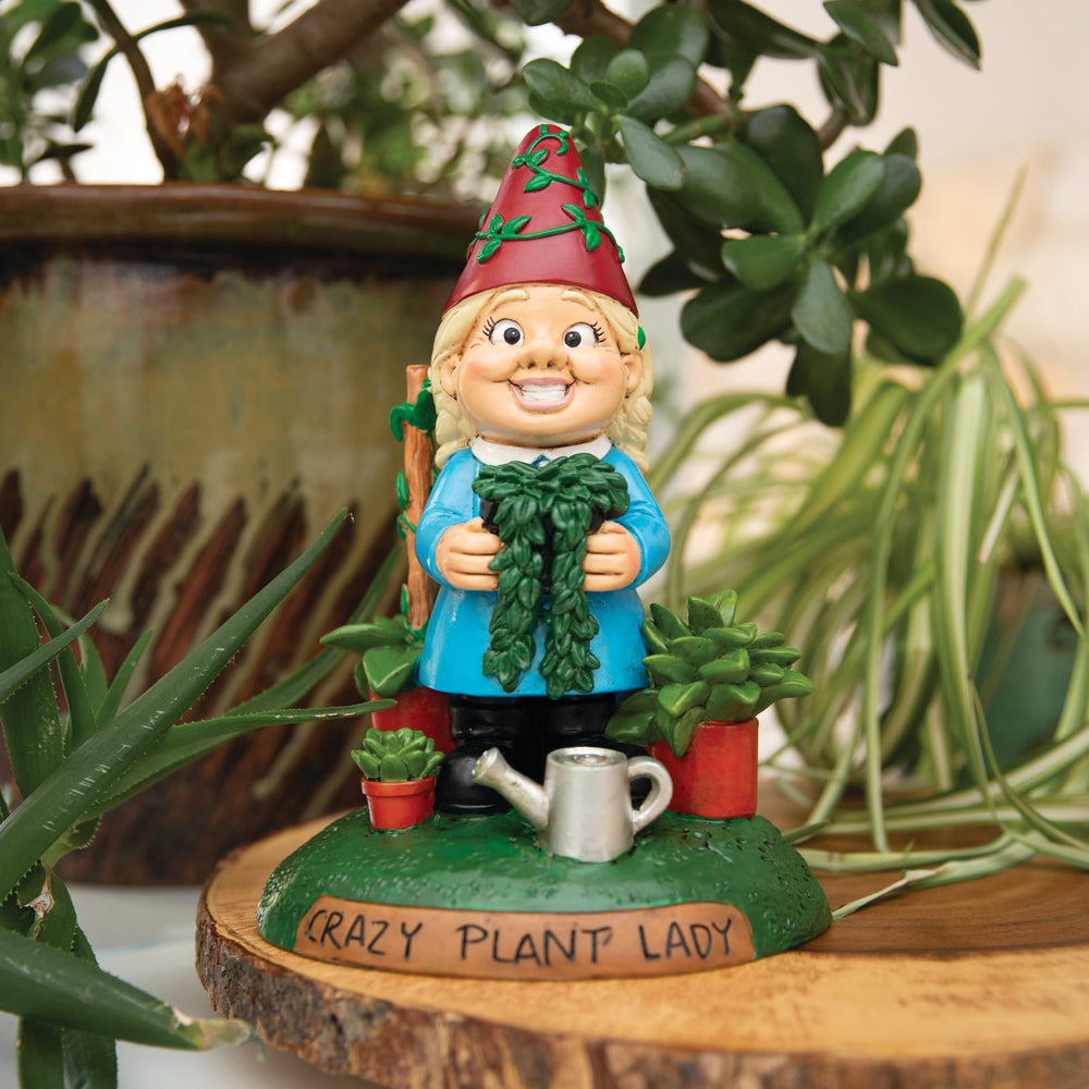 BigMouth Inc Beach|Home & Party | BigMouth Fern Fanatic Garden Gnome