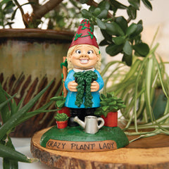 BigMouth Inc Beach|Home & Party | BigMouth Fern Fanatic Garden Gnome
