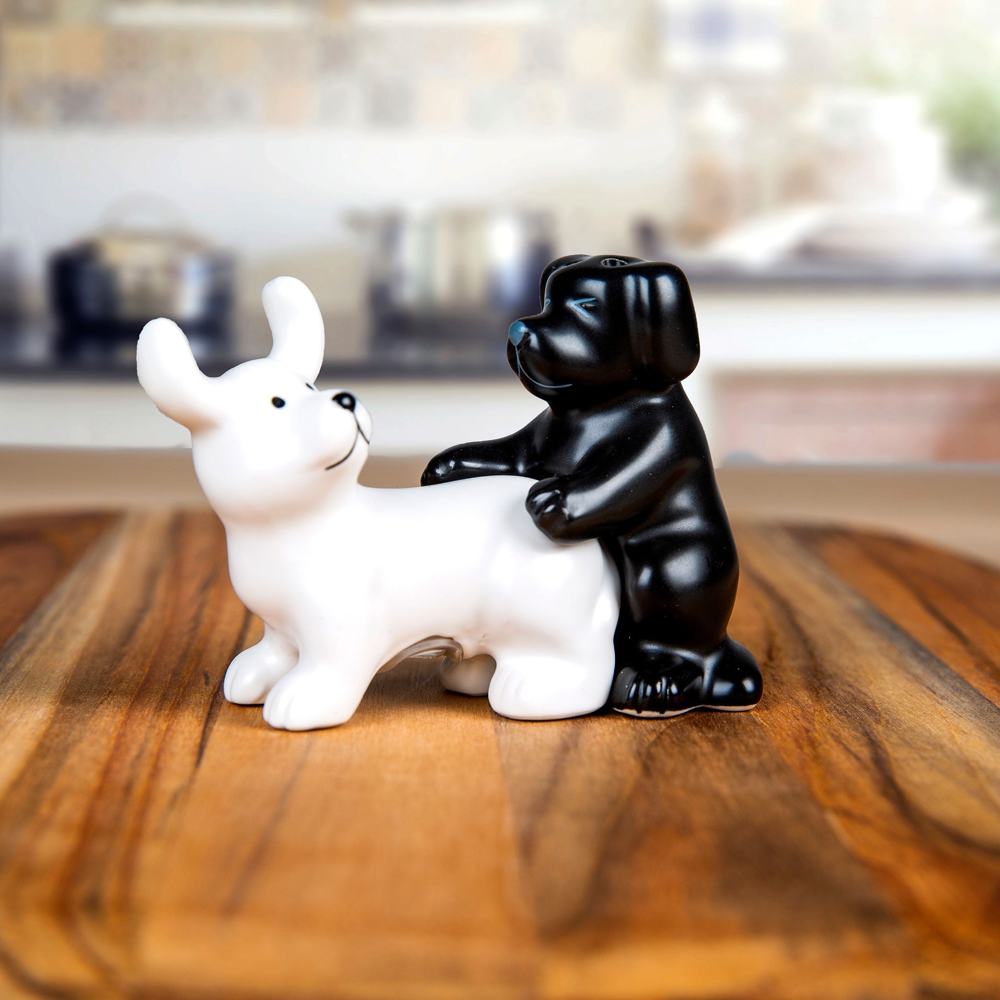 BigMouth Inc Home & Party | Puppy Pound S&P Shaker