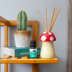 BigMouth Inc Home & Party | Mushroom Reed Diffuser