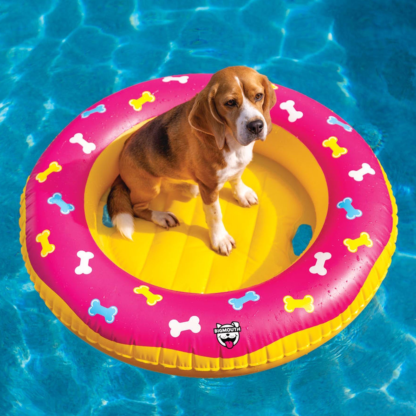 BigMouth Inc Pool|Home & Party | BigMouth Pets Bone Patterned Pool Float
