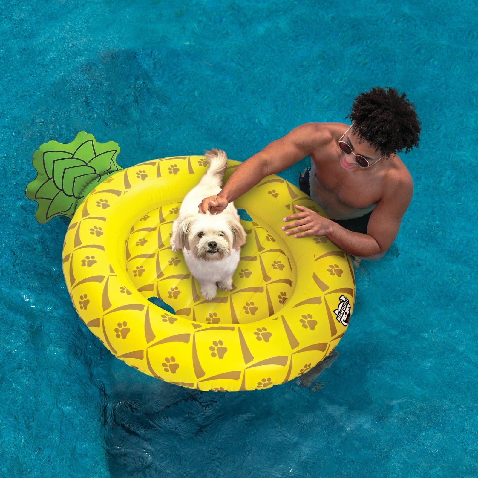 BigMouth Inc Pool|Home & Party | BigMouth Pets Pineapple Pool Float