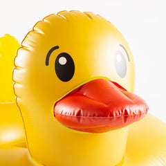 BigMouth Inc Pool | Duck Float