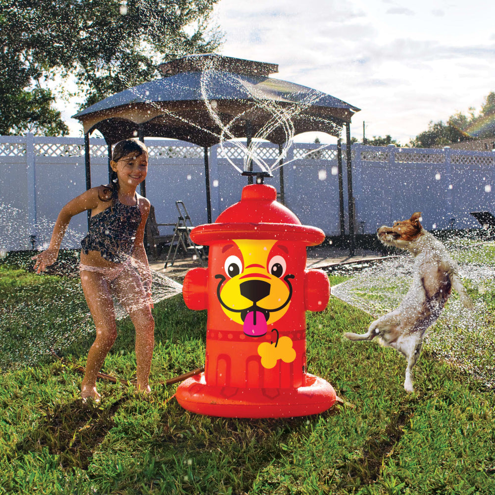 BigMouth Inc Home & Party | Mini Pet Fire Hydrant Sprinkler