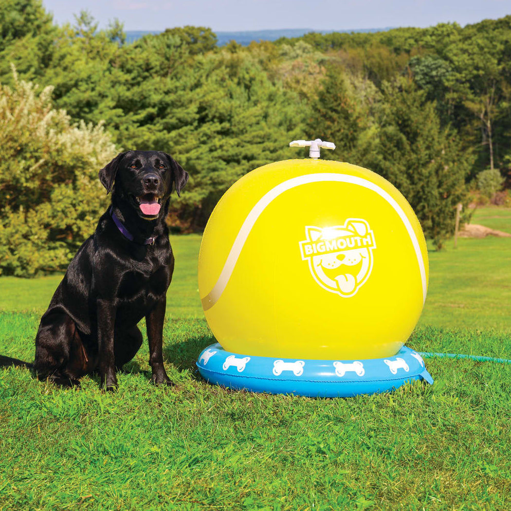 BigMouth Inc Home & Party | BigMouth Pets Tennis Ball Sprinkler