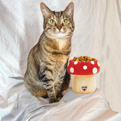 BigMouth Inc Home & Party | BigMouth 'Shroom' Cat and Dog Bowl