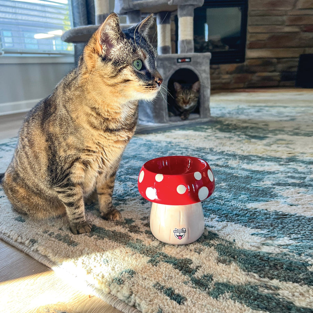BigMouth Inc Home & Party | BigMouth 'Shroom' Cat and Dog Bowl