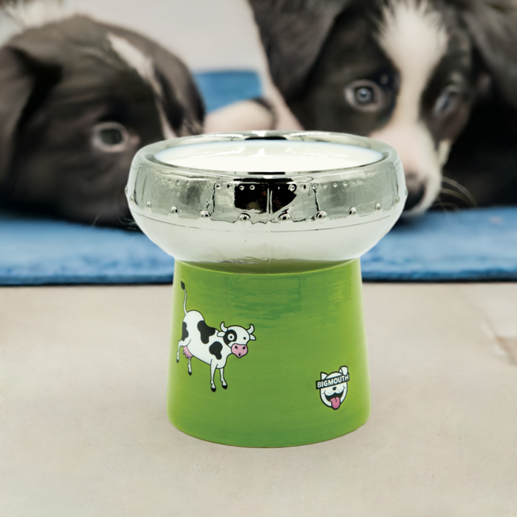 BigMouth Inc Home & Party | BigMouth 'Out of This World' Cat Bowl