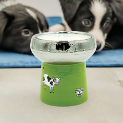 BigMouth Inc Home & Party | BigMouth 'Out of This World' Cat Bowl