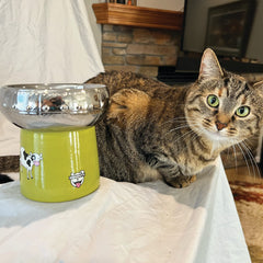 BigMouth Inc Home & Party | BigMouth 'Out of This World' Cat Bowl