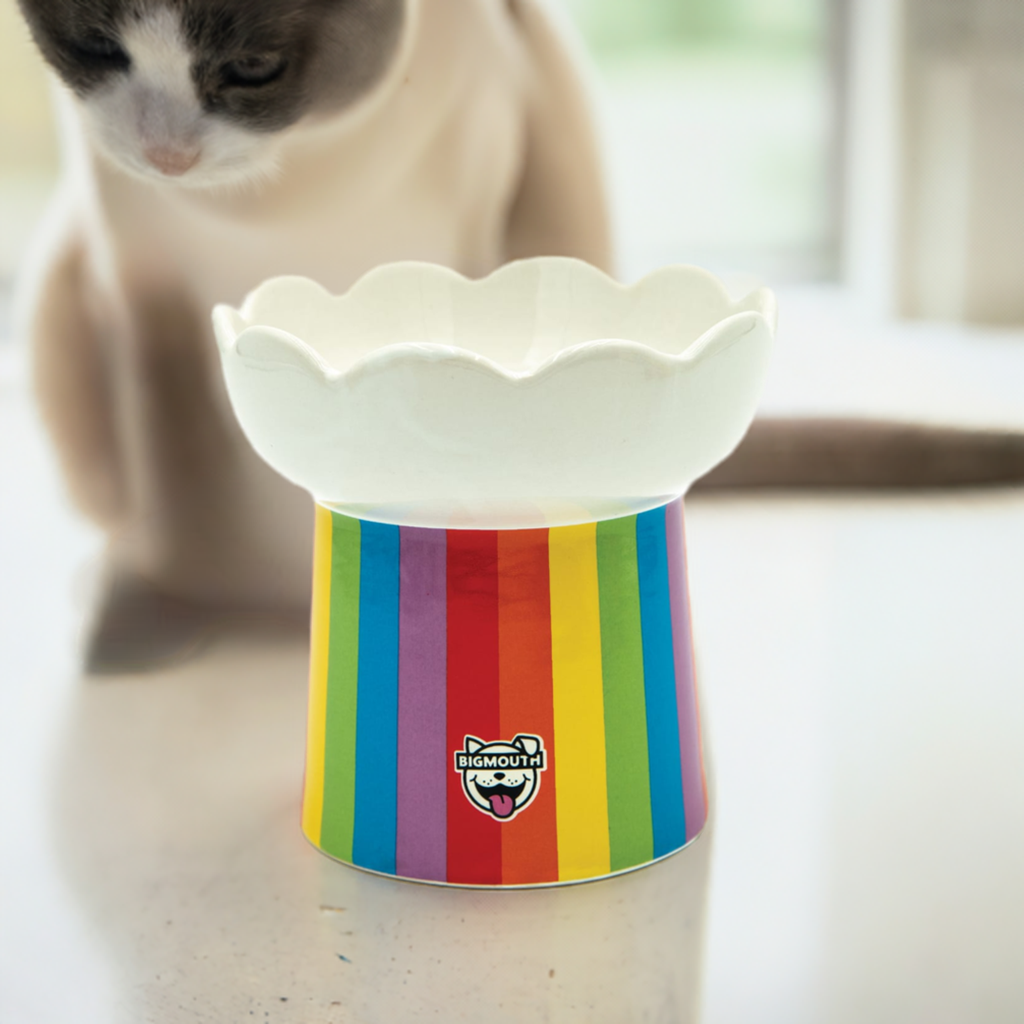 BigMouth Inc Home & Party | "Somewhere Over the Rainbow" Cat Bowl