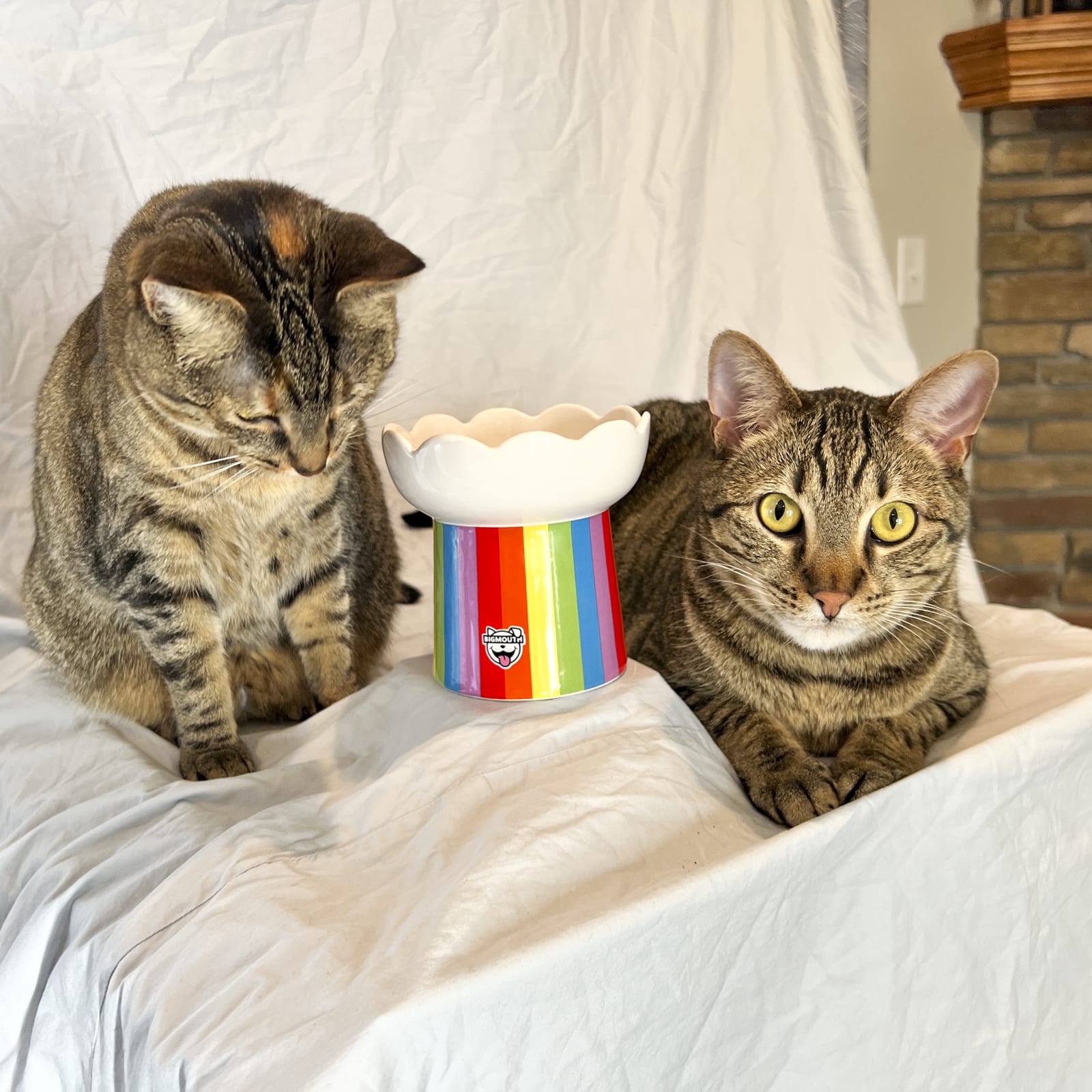 BigMouth Inc Home & Party | "Somewhere Over the Rainbow" Cat Bowl