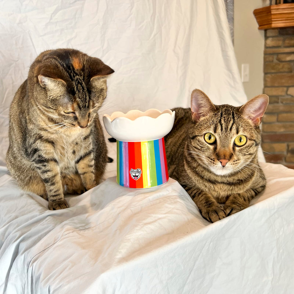 BigMouth Inc Home & Party | "Somewhere Over the Rainbow" Cat Bowl
