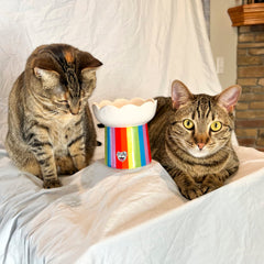 BigMouth Inc Home & Party | "Somewhere Over the Rainbow" Cat Bowl