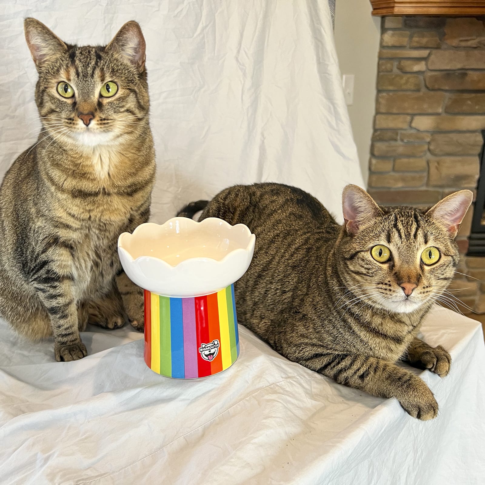BigMouth Inc Home & Party | "Somewhere Over the Rainbow" Cat Bowl