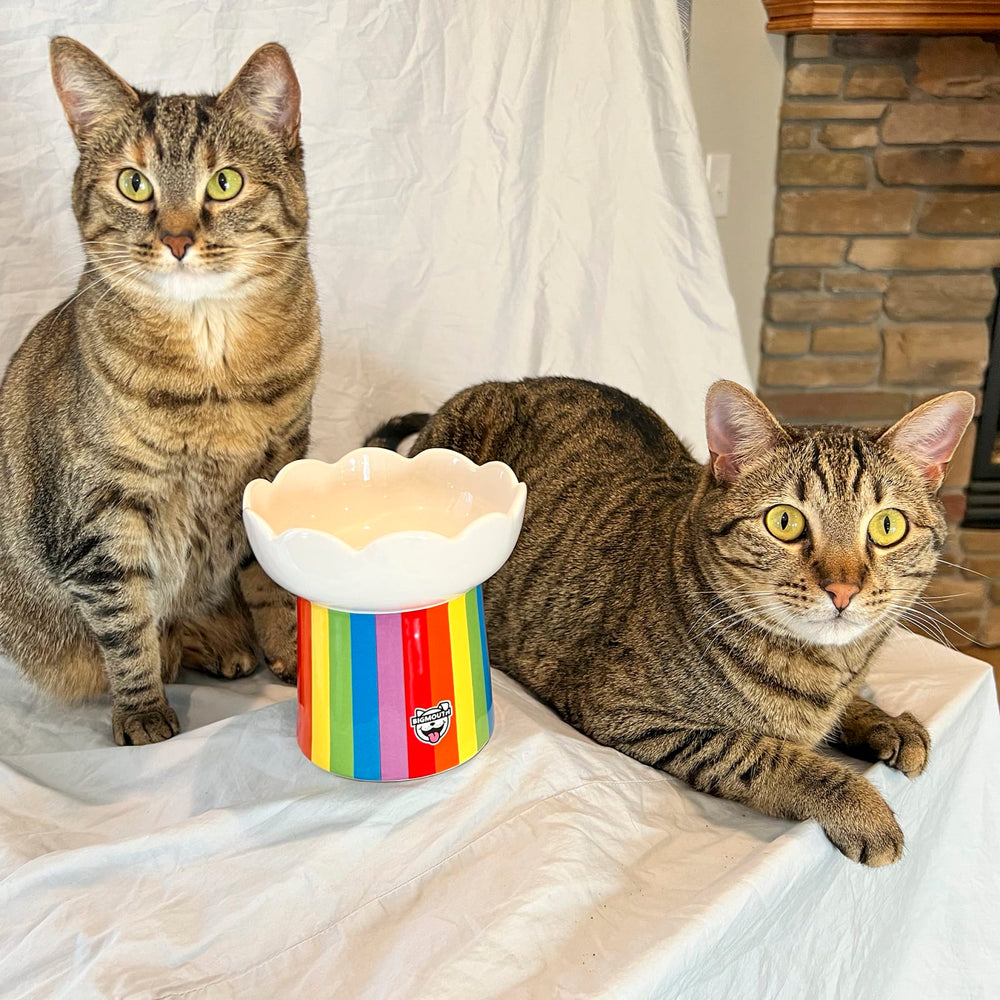 BigMouth Inc Home & Party | "Somewhere Over the Rainbow" Cat Bowl