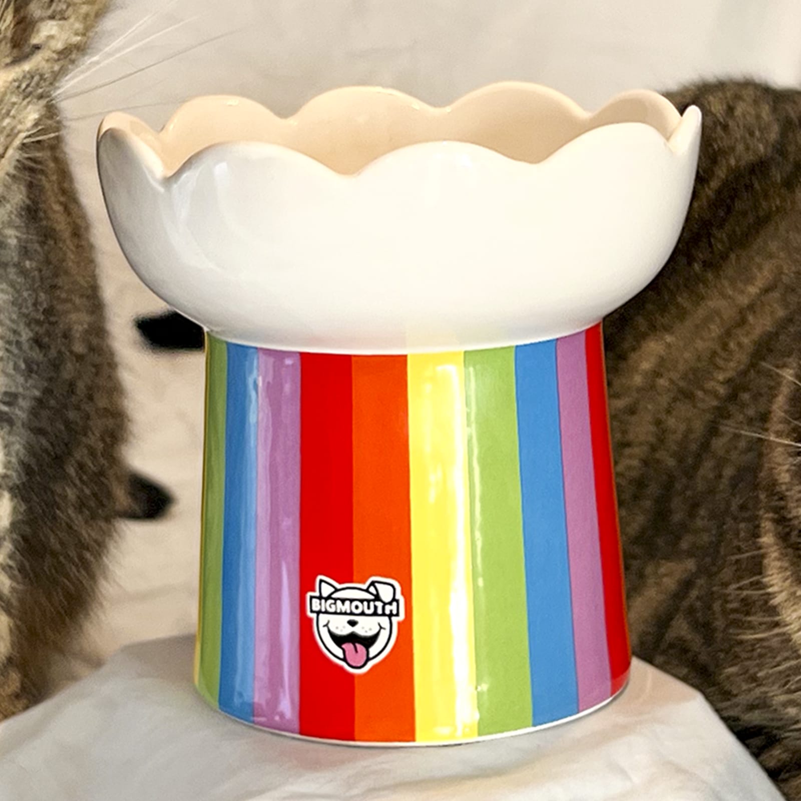 BigMouth Inc Home & Party | "Somewhere Over the Rainbow" Cat Bowl
