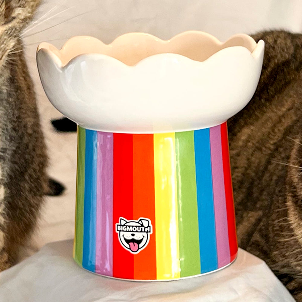 BigMouth Inc Home & Party | "Somewhere Over the Rainbow" Cat Bowl