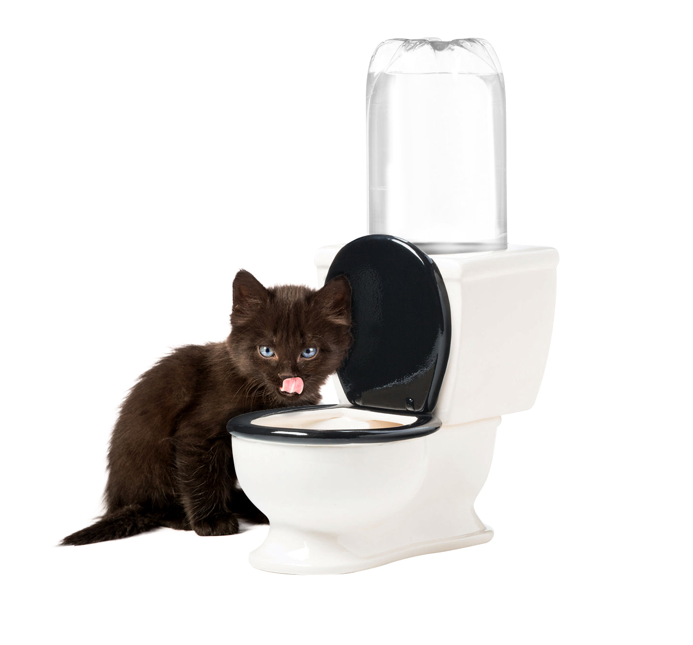 BigMouth Inc Home & Party | The Toilet Water Dish