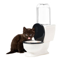 BigMouth Inc Home & Party | The Toilet Water Dish