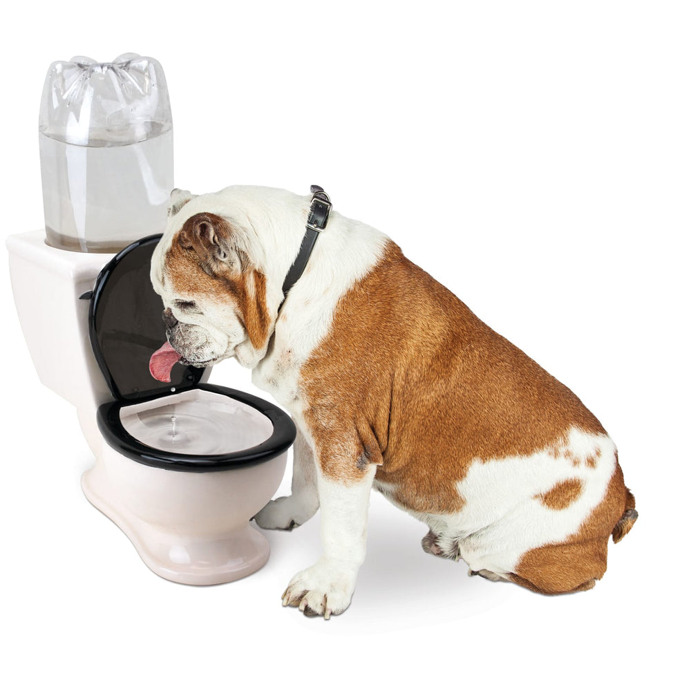BigMouth Inc Home & Party | The Toilet Water Dish