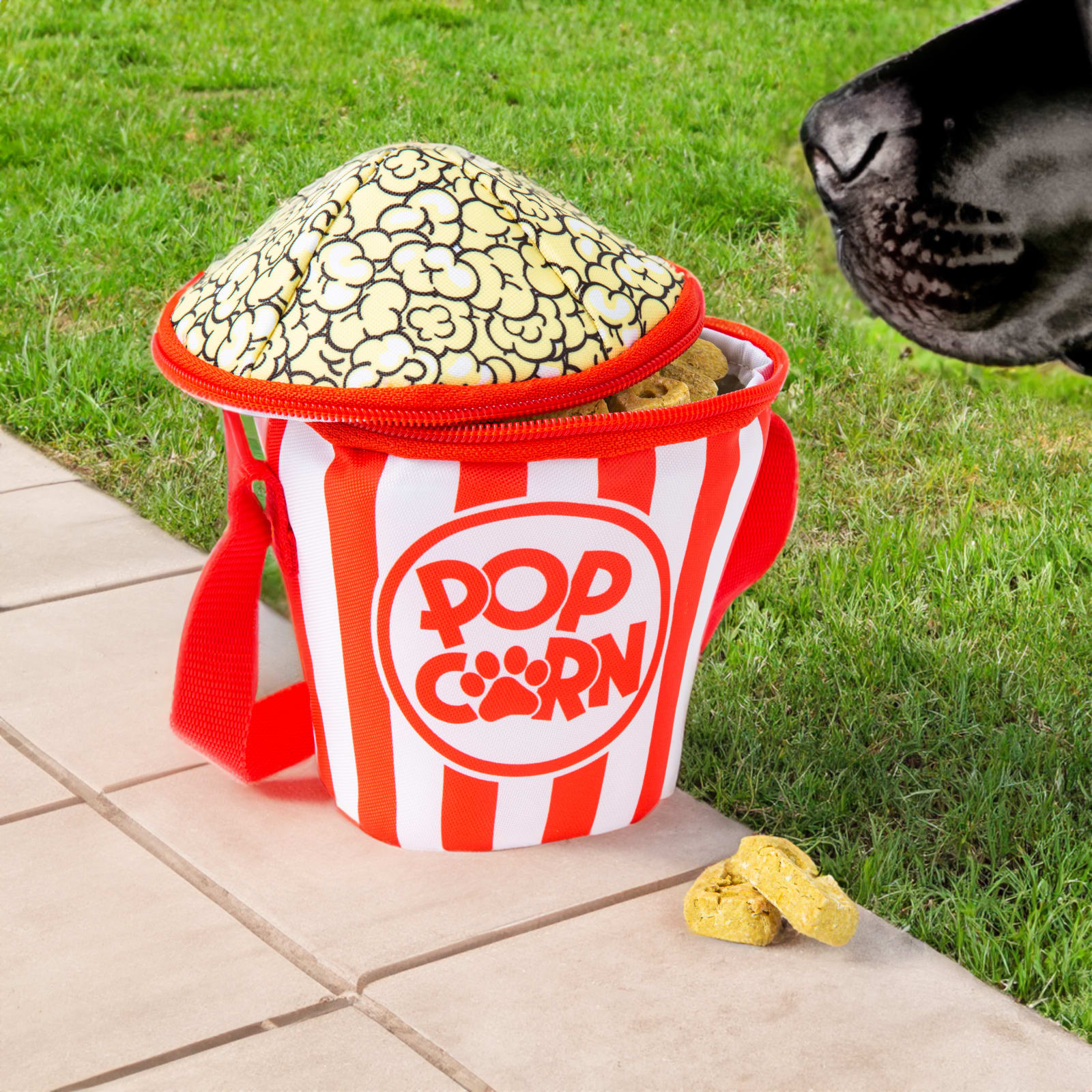 BigMouth Inc Home & Party | BigMouth Poppin' Pet Caddy