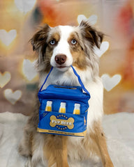 BigMouth Inc Home & Party | BigMouth Boozy Treats Pet Caddy