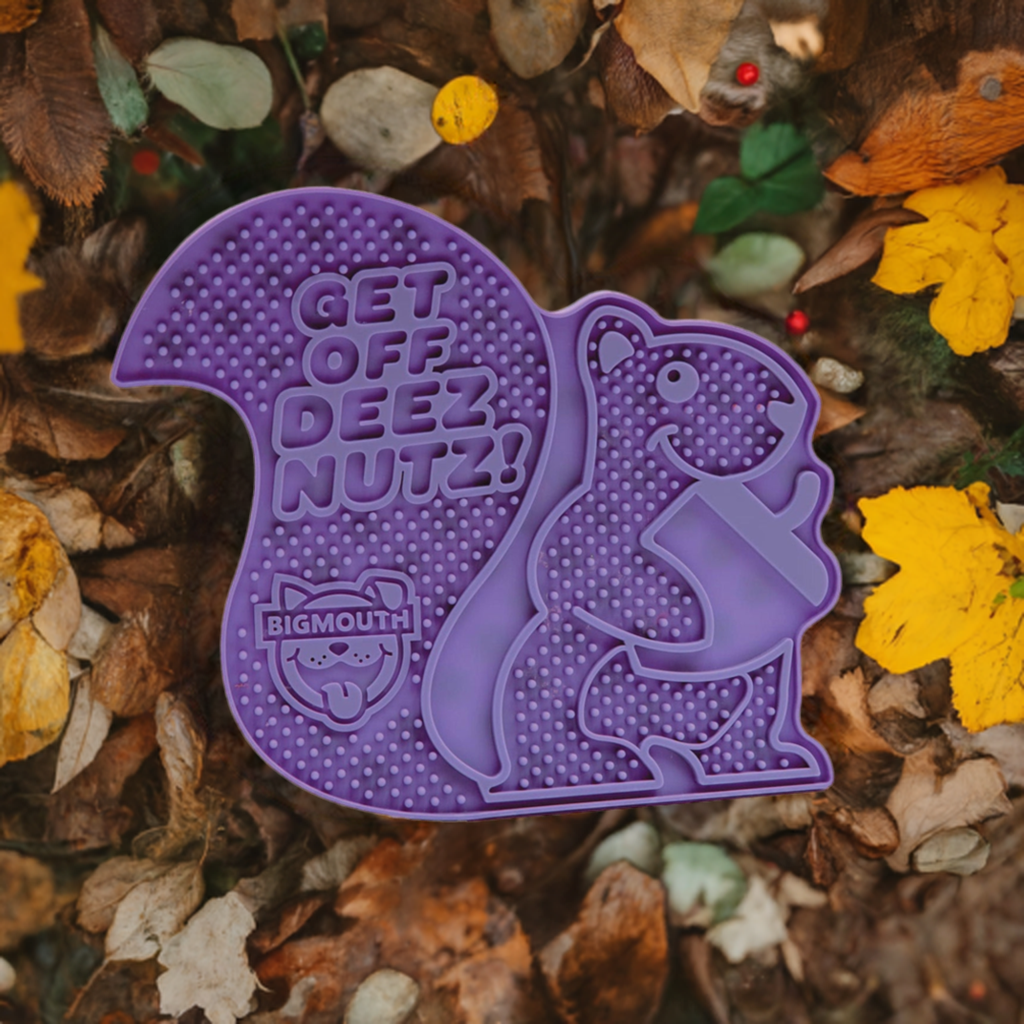 BigMouth Inc Home & Party | BigMouth Go Nuts Lick Mat
