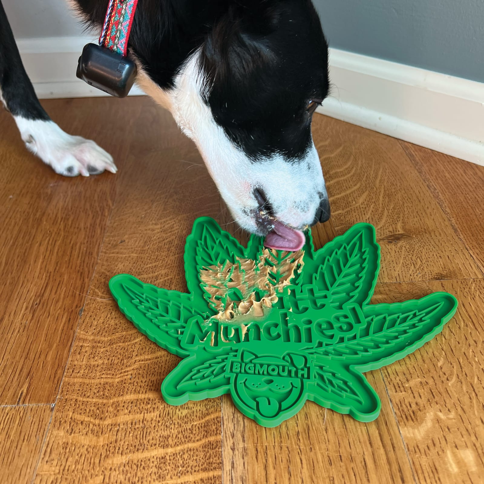 BigMouth Inc Home & Party | BigMouth Munchies Lick Mat