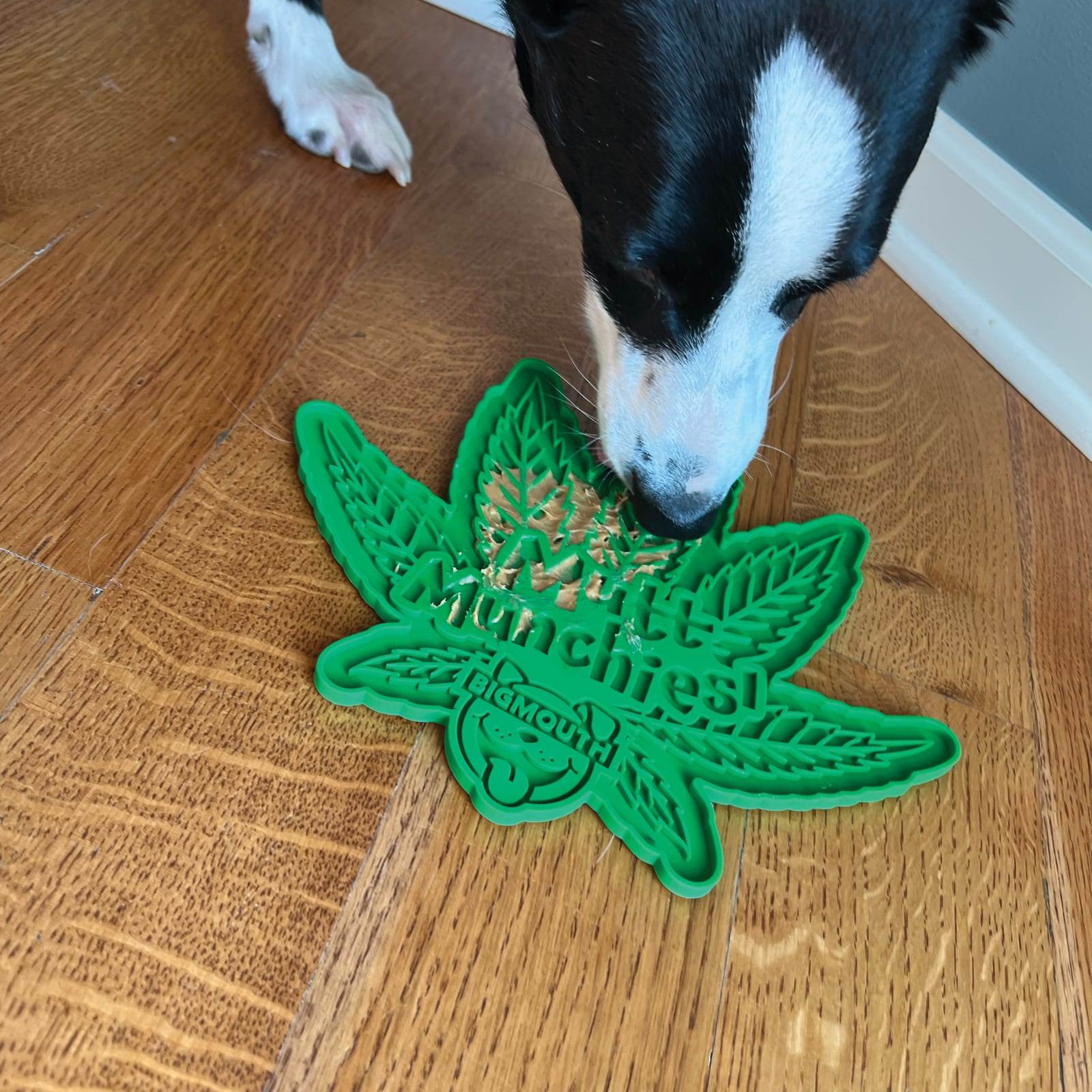 BigMouth Inc Home & Party | BigMouth Munchies Lick Mat