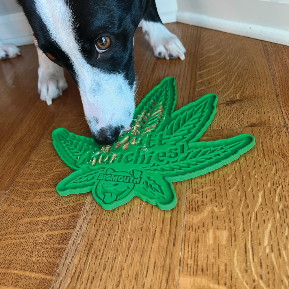 BigMouth Inc Home & Party | BigMouth Munchies Lick Mat