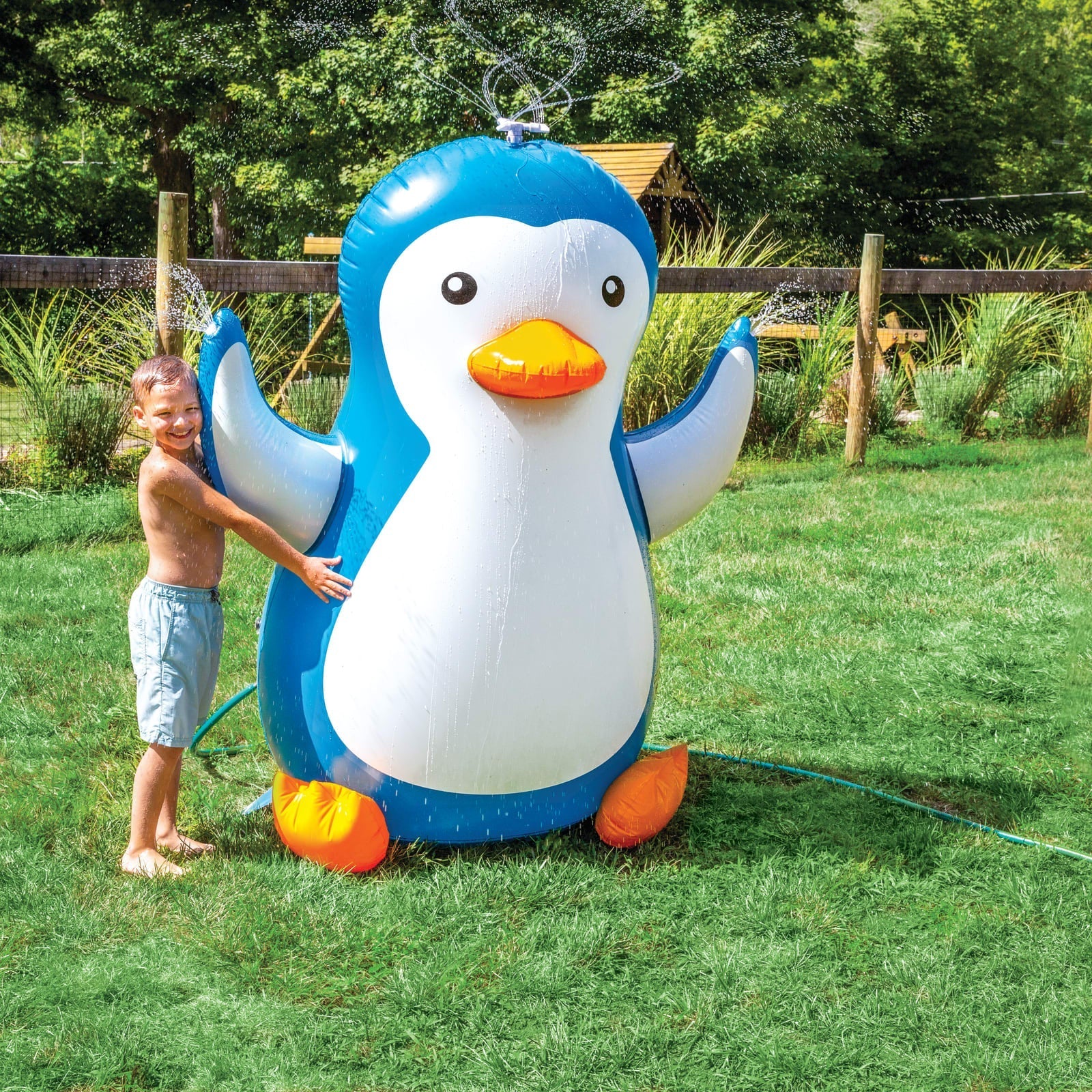 BigMouth Inc Pool | The Pinguino Backyard Sprinkler