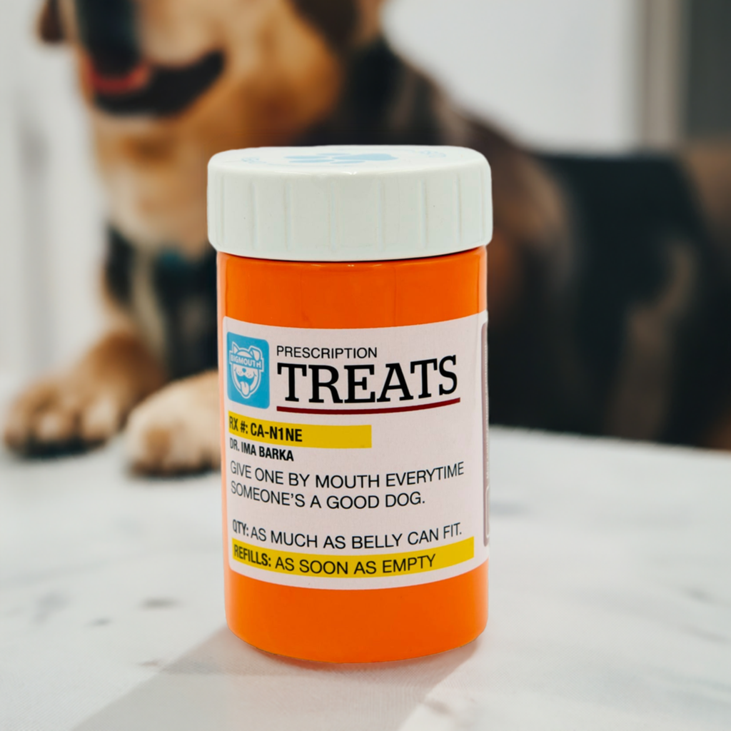 BigMouth Inc Home & Party | BigMouth Pets "Prescription" Treat Jar