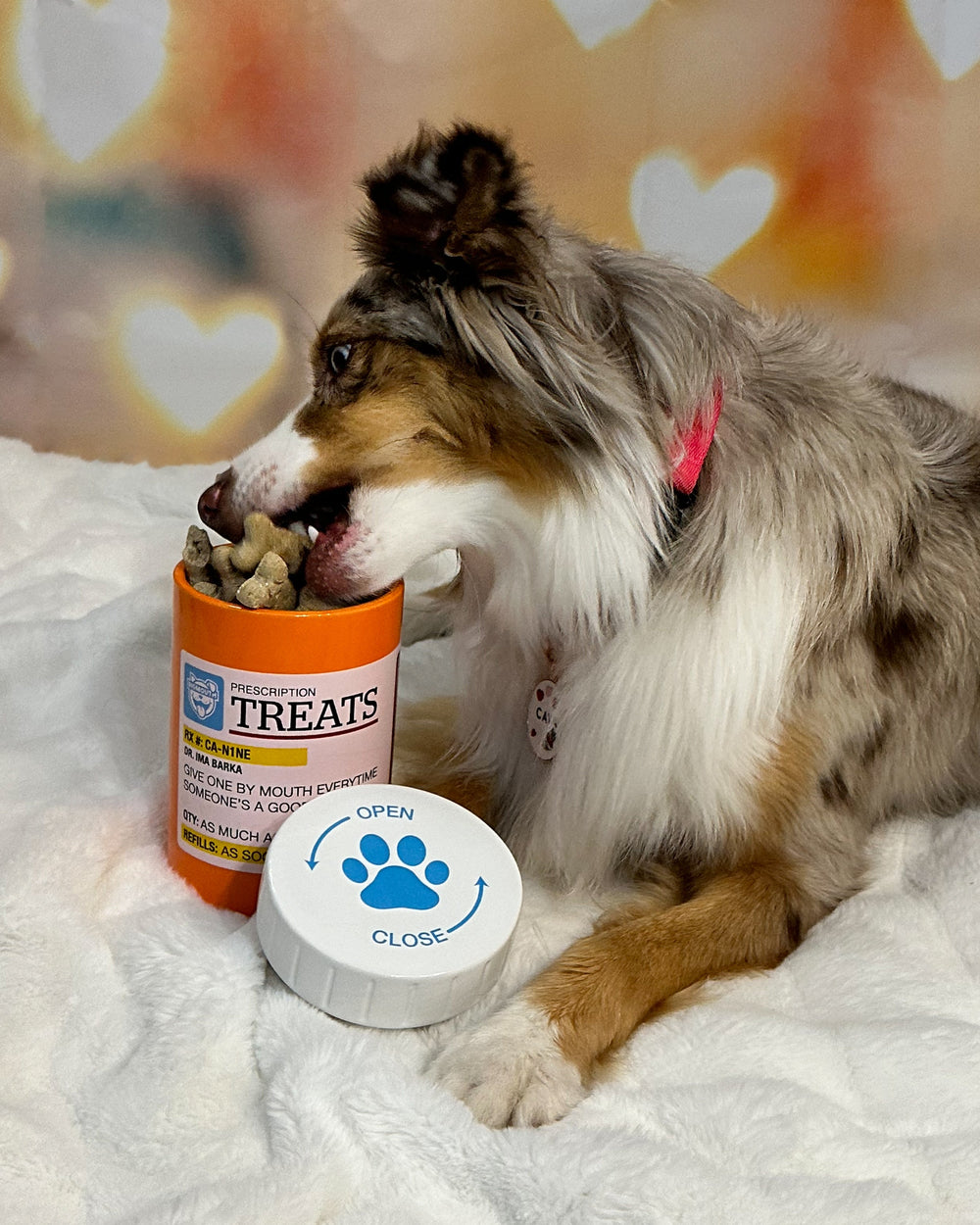 BigMouth Inc Home & Party | BigMouth Pets "Prescription" Treat Jar
